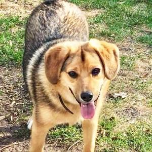 Meet your Posher, Jody